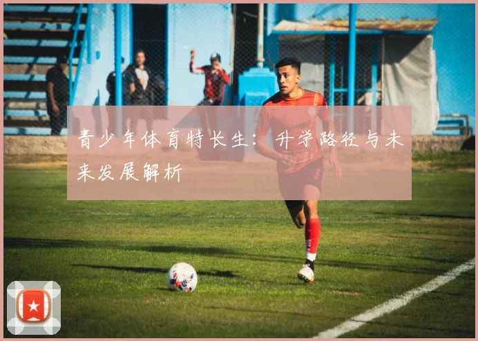 青少年体育特长生:升学路径与未来发展解析