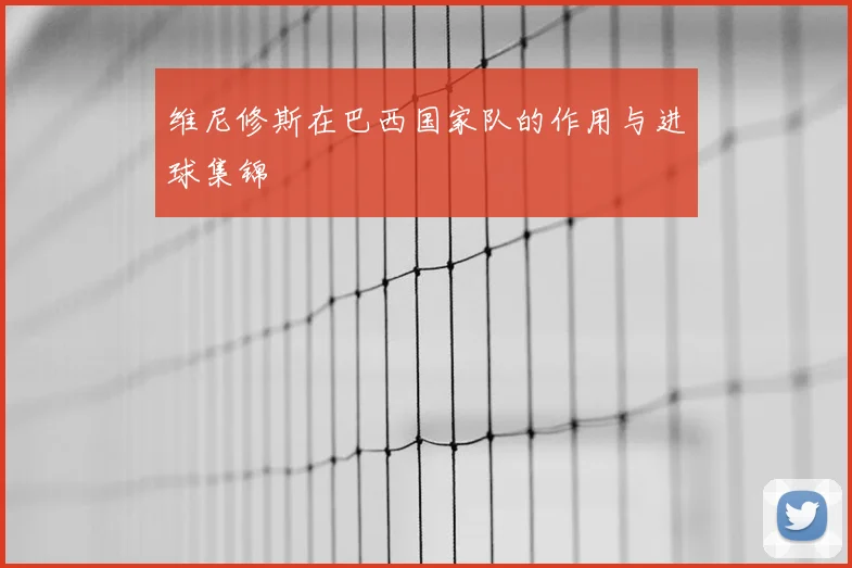 维尼修斯在巴西国家队的作用与进球集锦